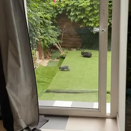 Διαμέρισμα : Jolie Tres Calme *