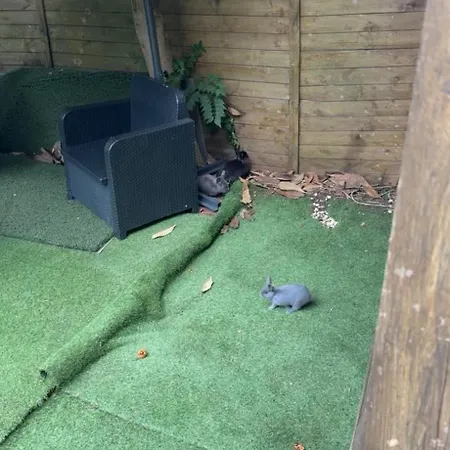 : Jolie Tres Calme * Μονπελιέ